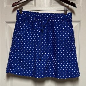 J. Crew Blue and White Polka Dot A-Line Skirt